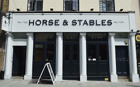 Horse And Stables